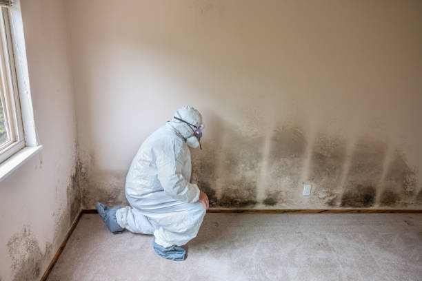 St Francis, WI Mold Remediation Company